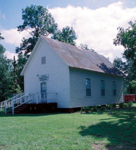 Tulip School