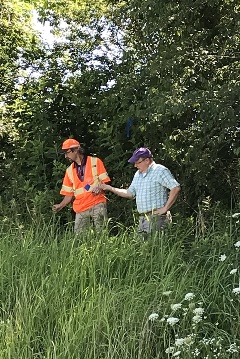 Cogongrass team survey