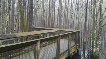 Boardwalk Emily Roberts LA Purchase boardwalk