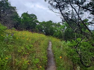 Trail Devil's Knob-Devil's Backbone DKDB Trail