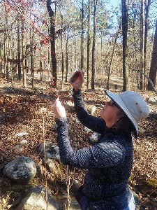 Volunteer photographing