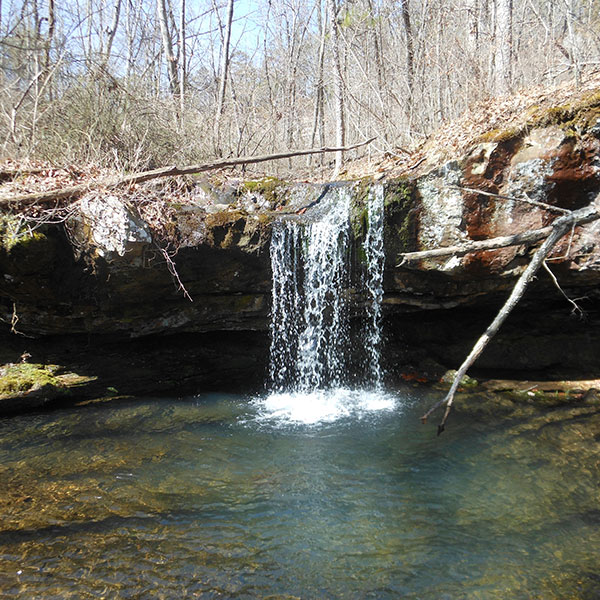 Acquisition Adds Acres to Foushee Cave Natural Area