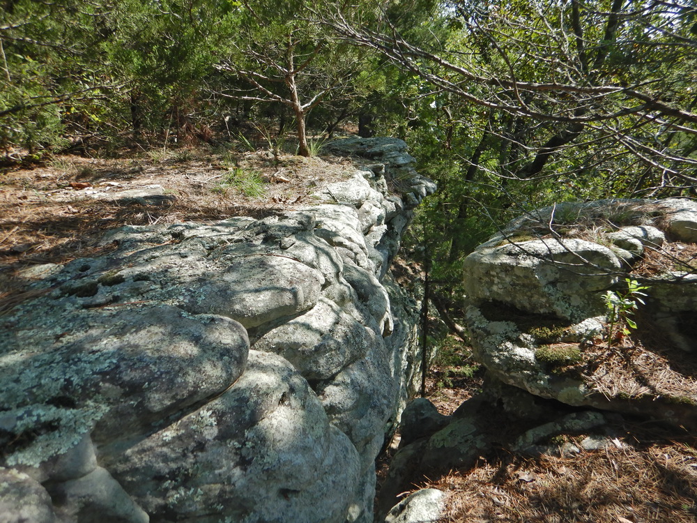 Bear Hollow Natural Area