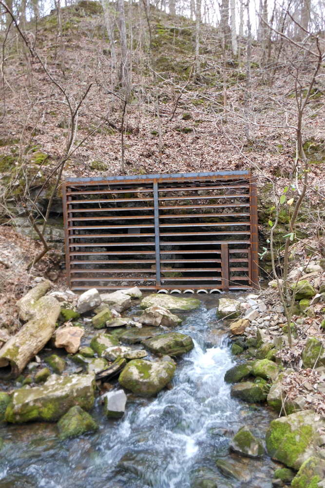 Foushee Cave Natural Area