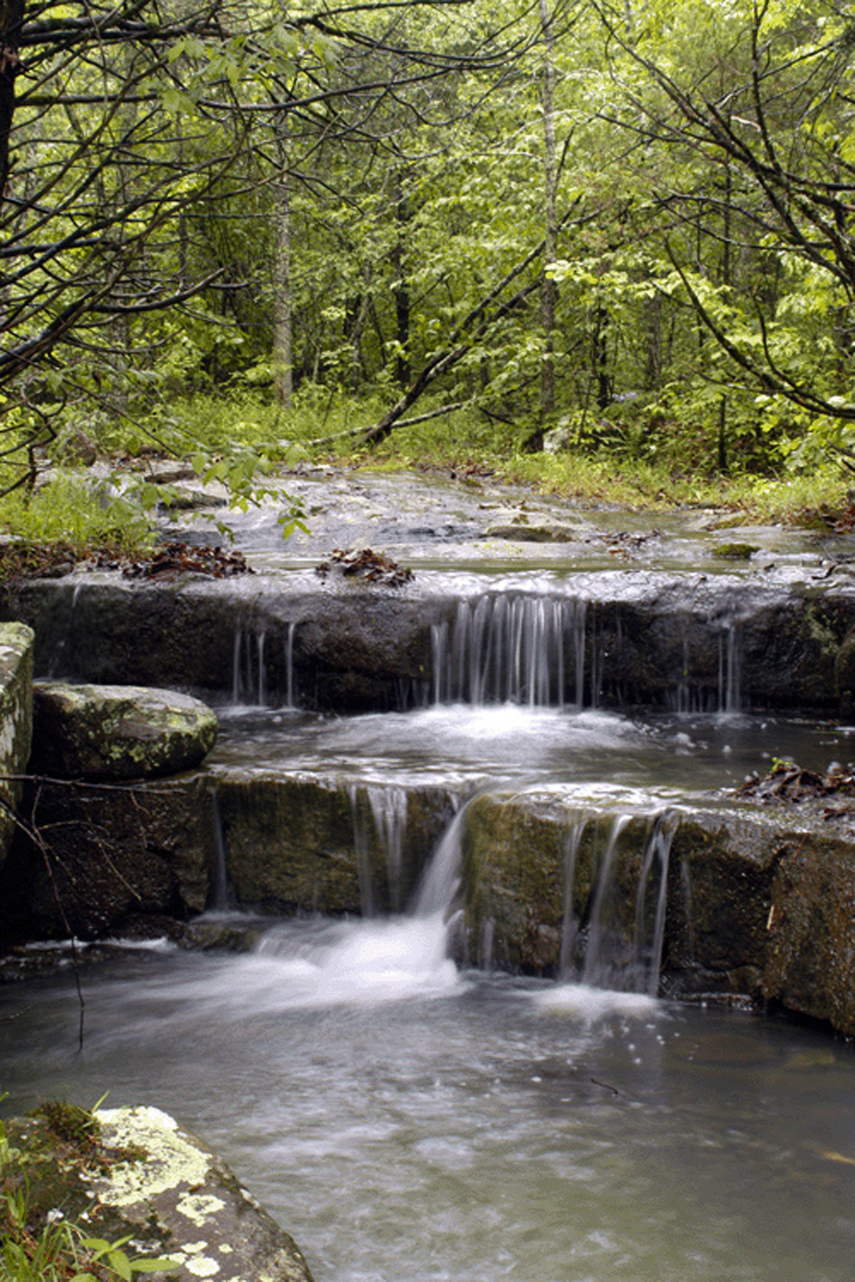 Sweden Creek Falls Natural Area